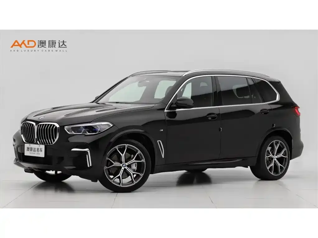 BMW X5 2023 из CN, фото 1