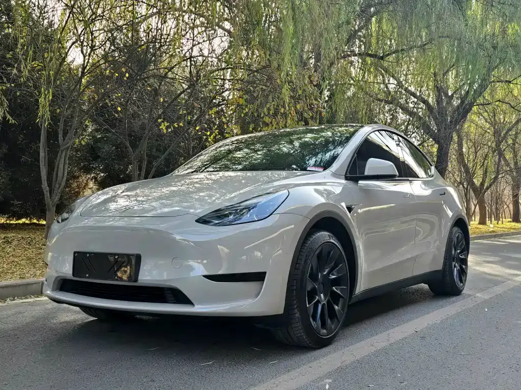 Tesla Model Y 2023 из CN, фото 1