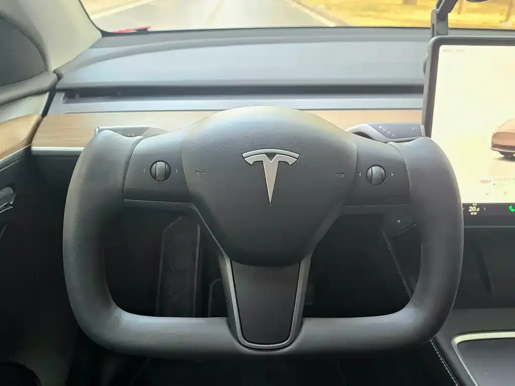 Tesla Model Y 2023 из CN, фото 10