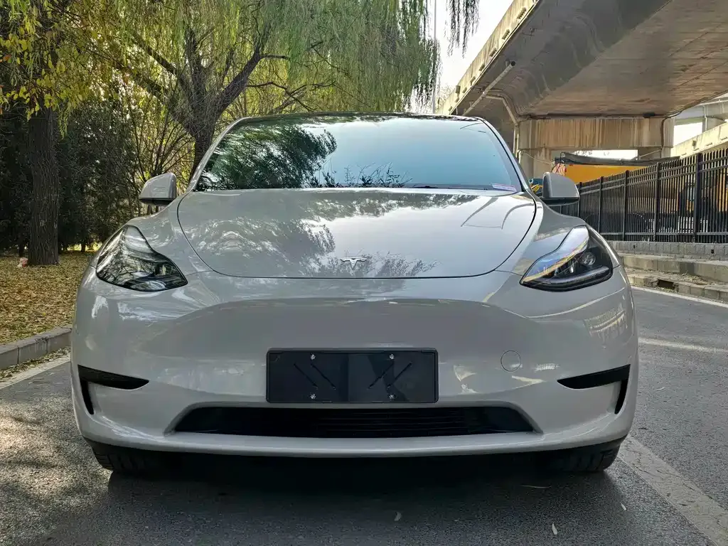 Tesla Model Y 2023 из CN, фото 2