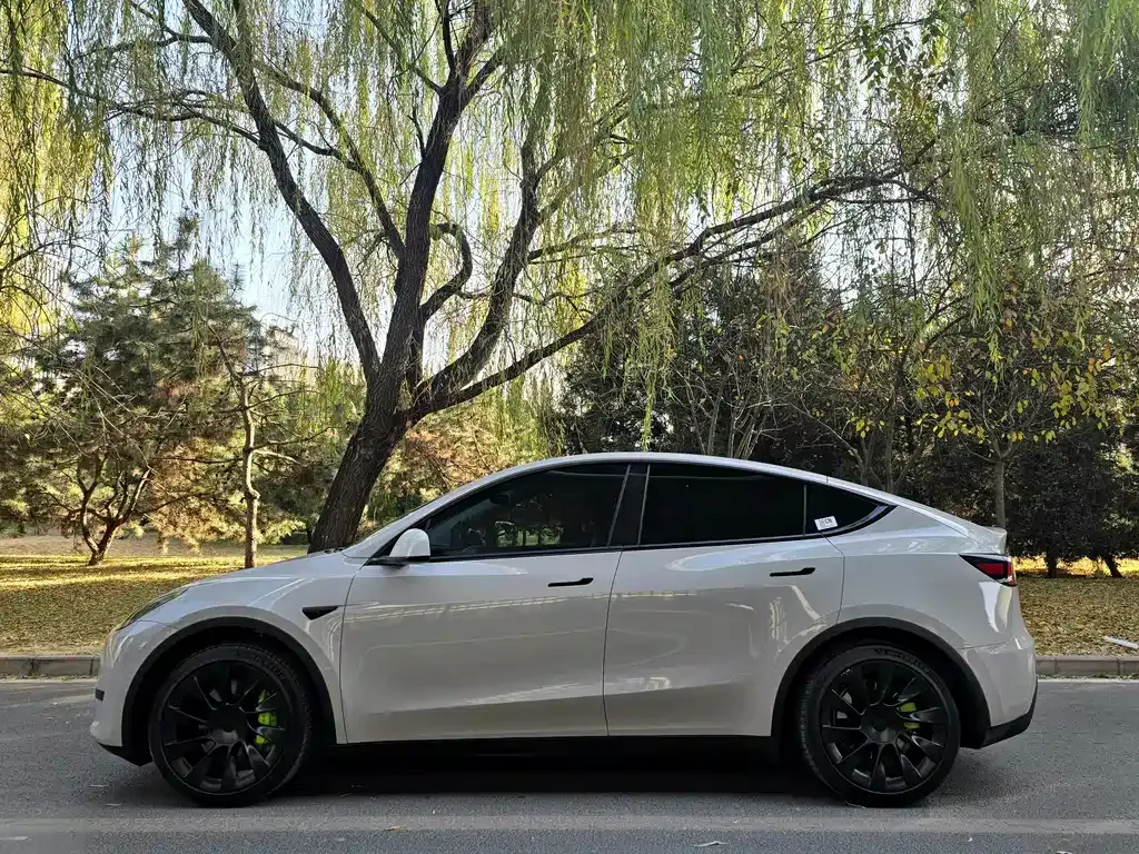 Tesla Model Y 2023 из CN, фото 3