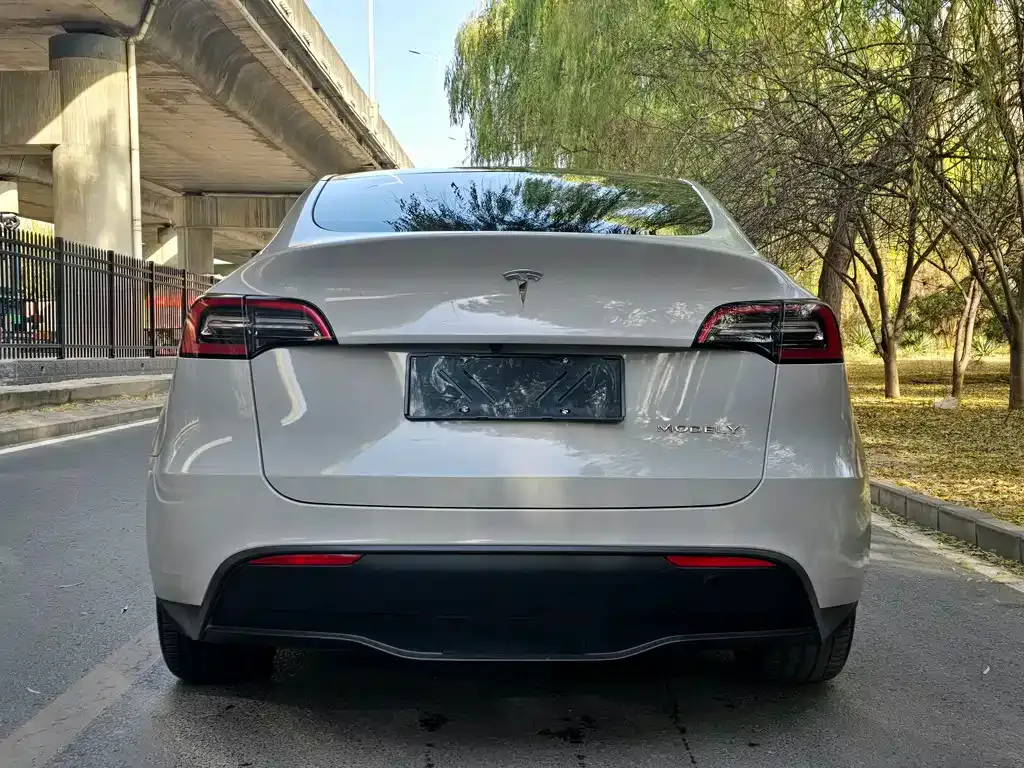 Tesla Model Y 2023 из CN, фото 4