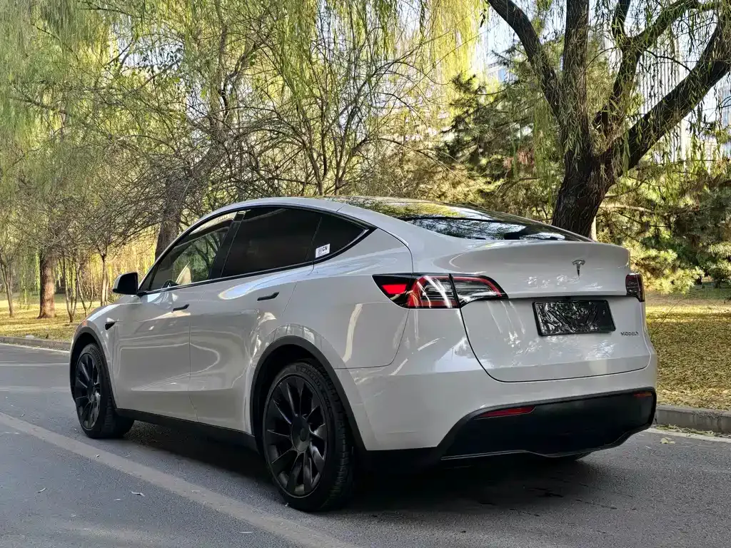 Tesla Model Y 2023 из CN, фото 5