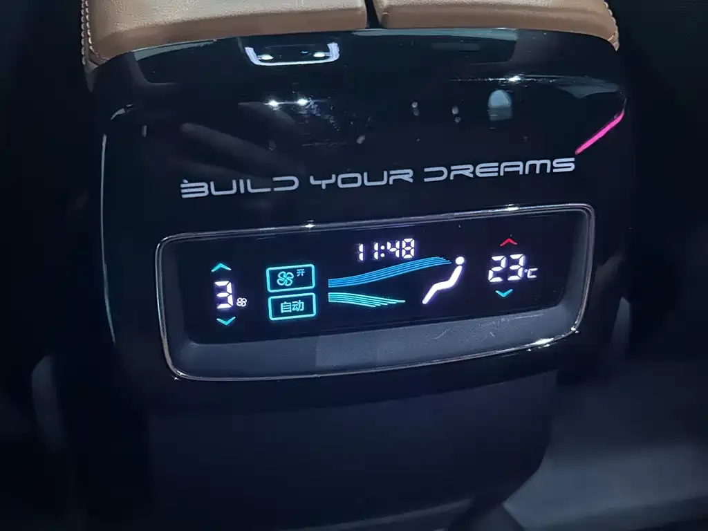 BYD Tang New Energy 2022 из CN, фото 2