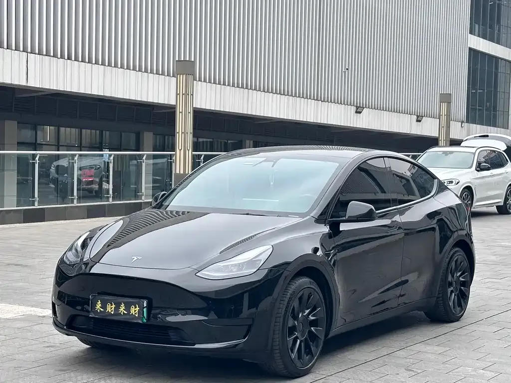 Tesla Model Y 2022 из CN, фото 1