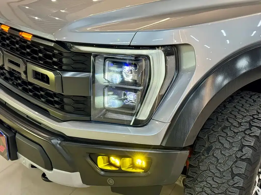 Ford F-150 Raptor 2024 из CN, фото 10