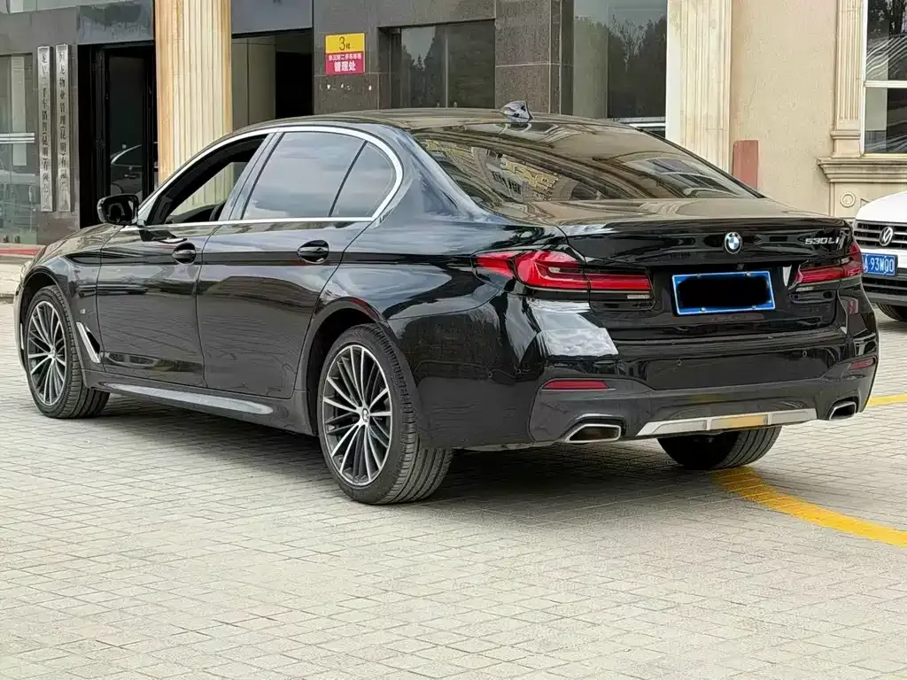 BMW 5 Series 2023 из CN, фото 3