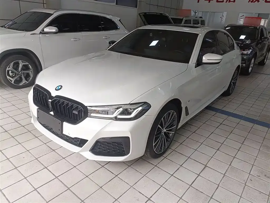 BMW 5 Series 2023 из CN, фото 8