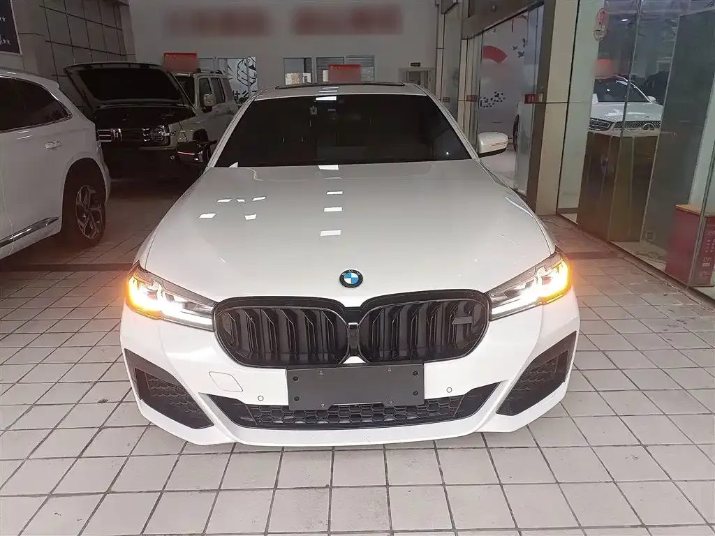 BMW 5 Series 2023 из CN, фото 2