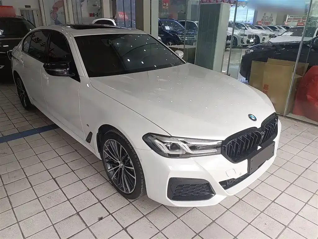 BMW 5 Series 2023 из CN, фото 3