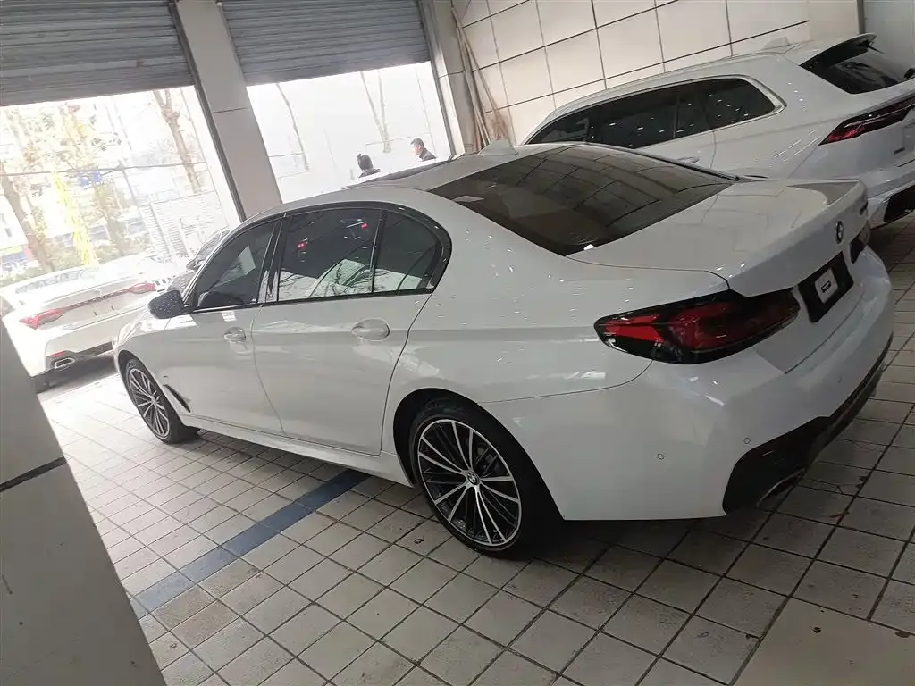 BMW 5 Series 2023 из CN, фото 5