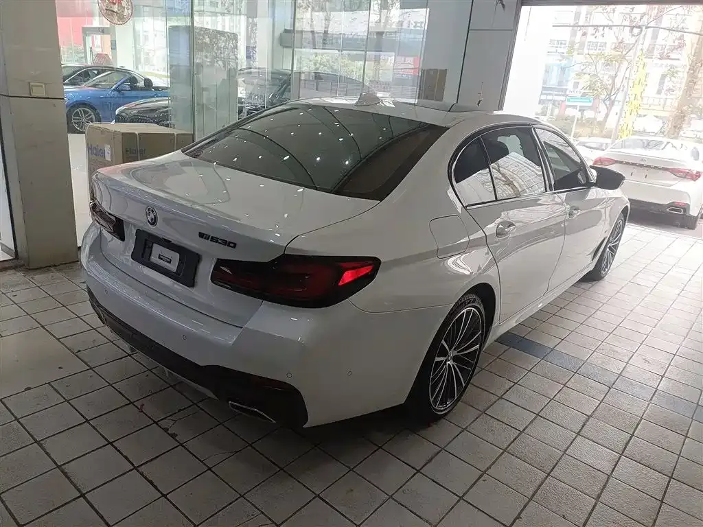 BMW 5 Series 2023 из CN, фото 10