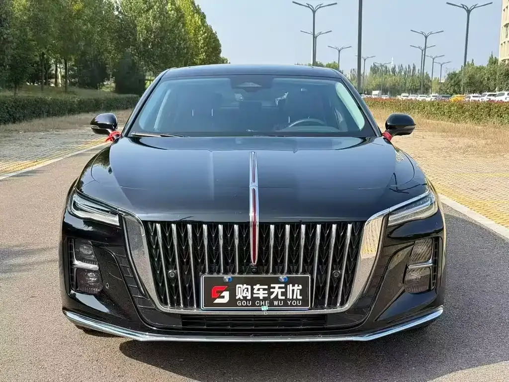 Hongqi H5 2024 из CN, фото 4