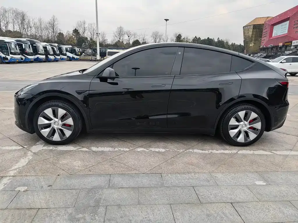 Tesla Model Y 2023 из CN, фото 2