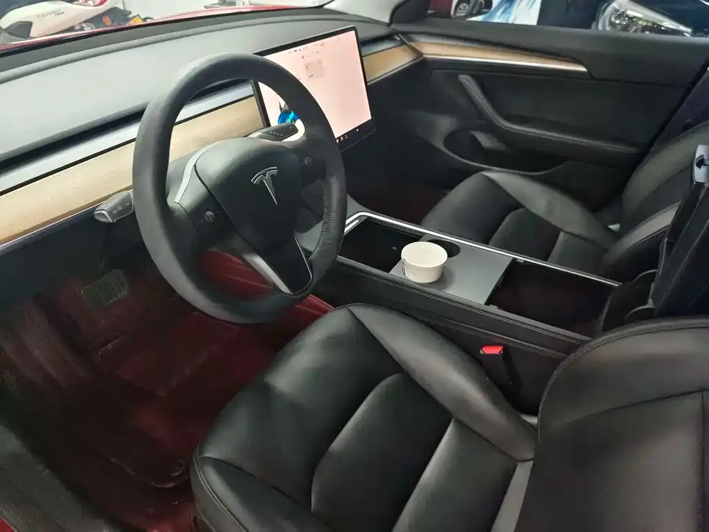 Tesla Model 3 2021 из CN, фото 3