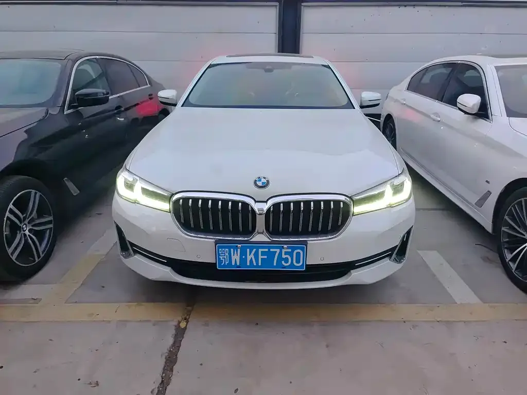 BMW 5 Series 2022 из CN, фото 2