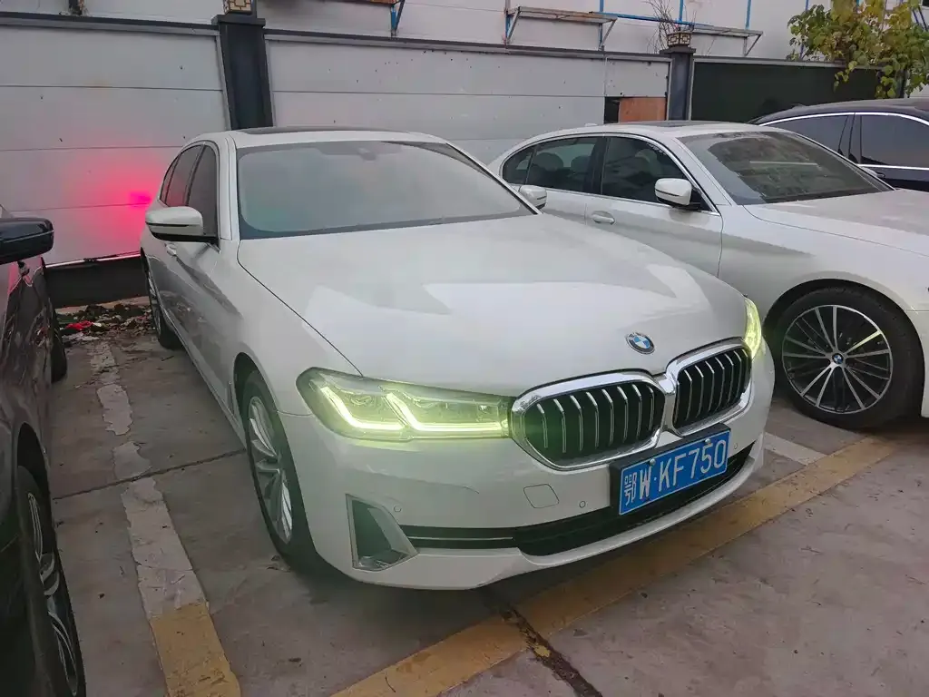 BMW 5 Series 2022 из CN, фото 3