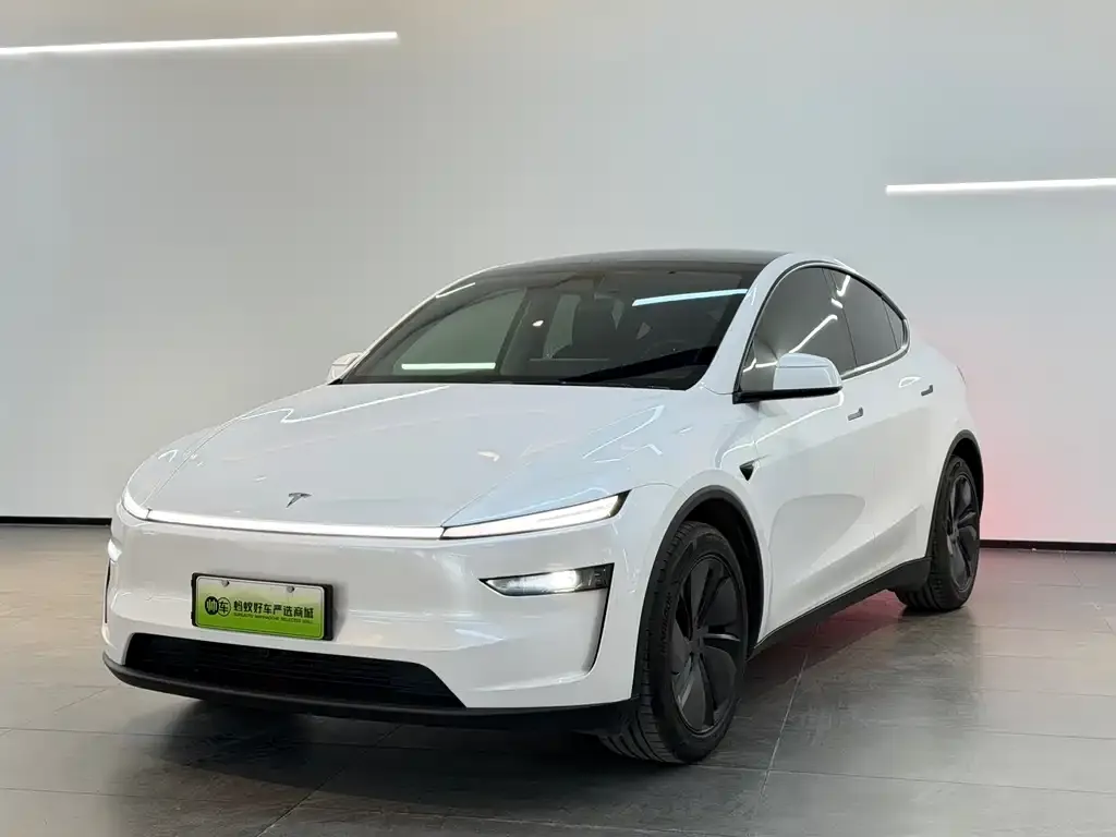 Tesla Model Y 2025 из CN, фото 1
