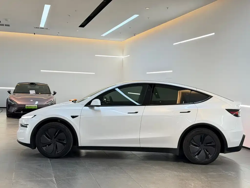 Tesla Model Y 2025 из CN, фото 4