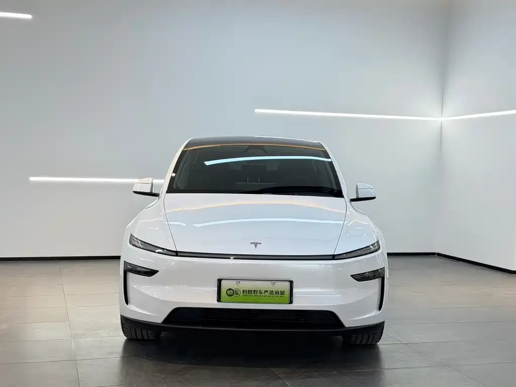 Tesla Model Y 2025 из CN, фото 2