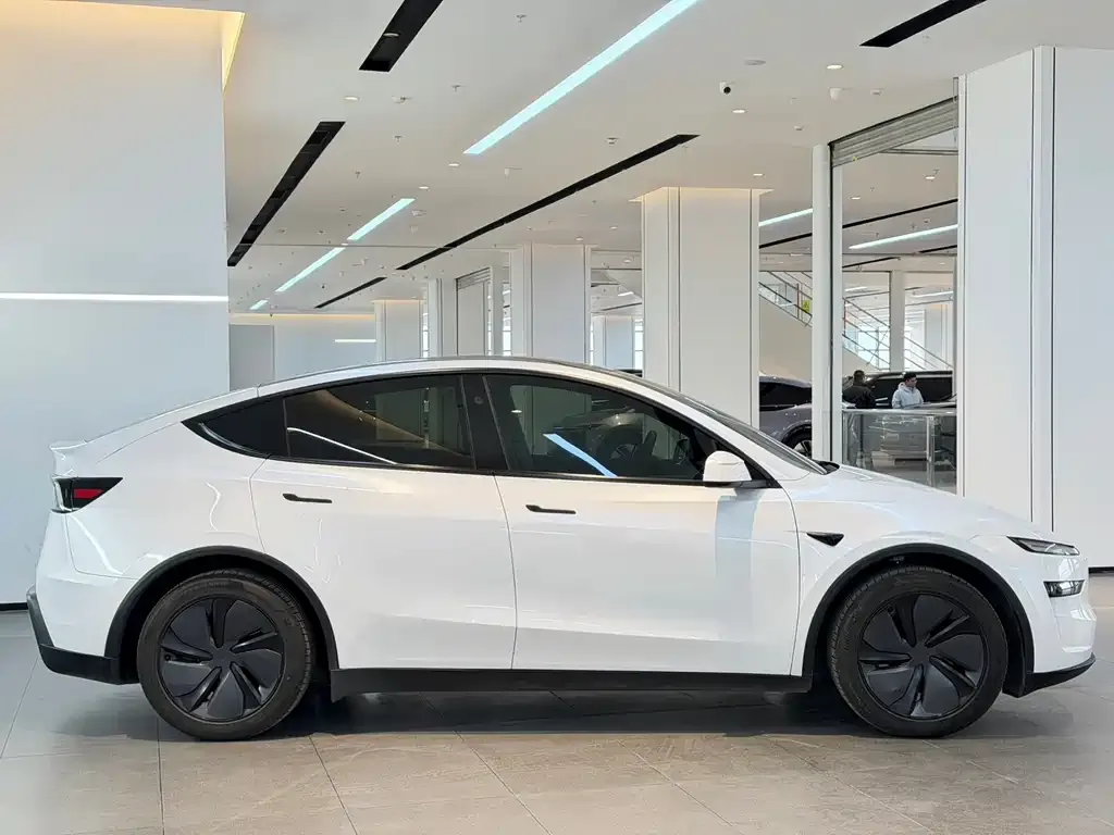 Tesla Model Y 2025 из CN, фото 9