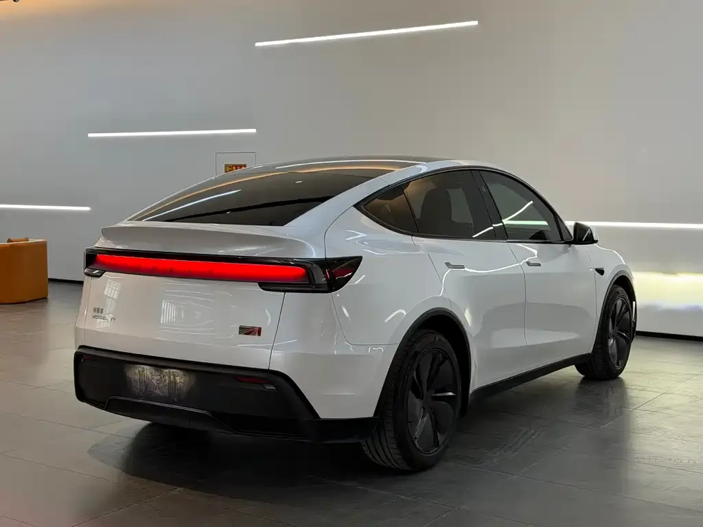 Tesla Model Y 2025 из CN, фото 5