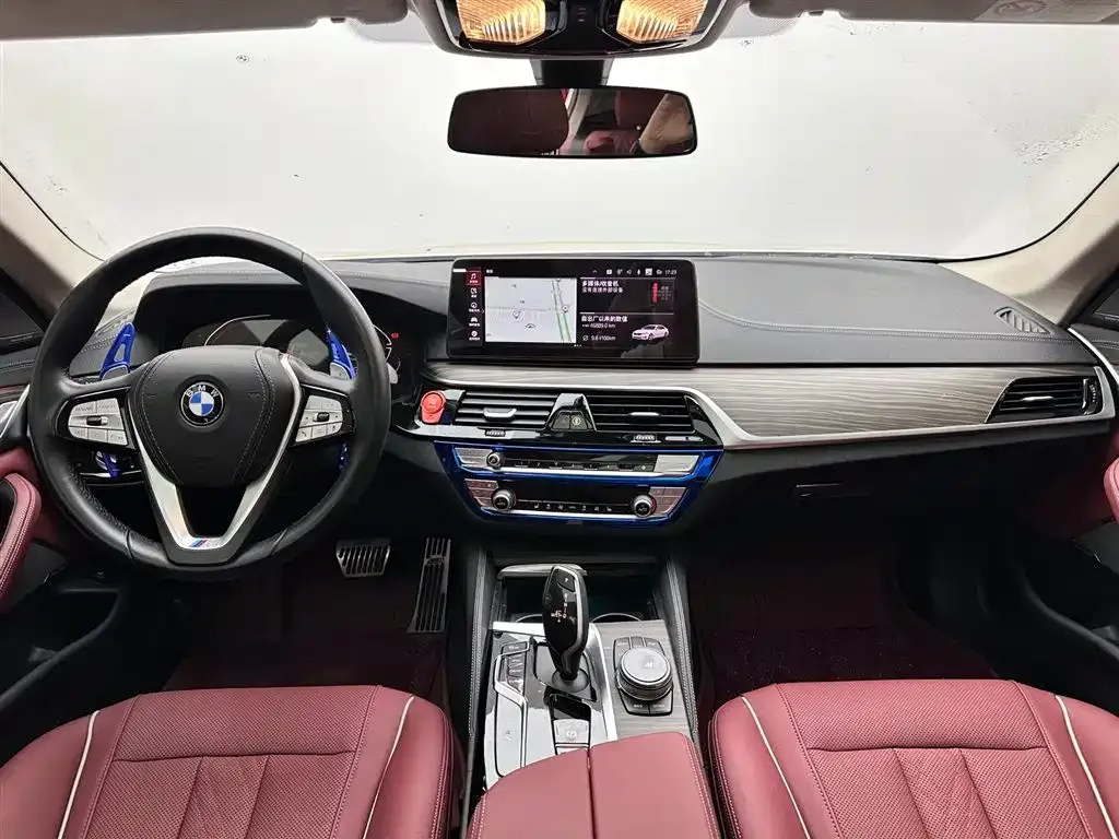 BMW 5 Series 2023 из CN, фото 9