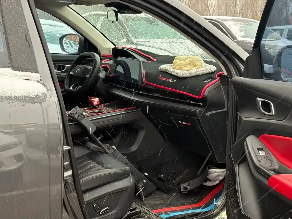 Changan CS55PLUS 2023 из CN, фото 7
