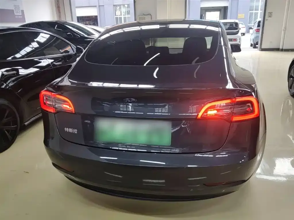 Tesla Model 3 2021 из CN, фото 3