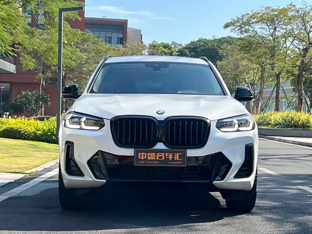 BMW X3 2022 из CN, фото 8