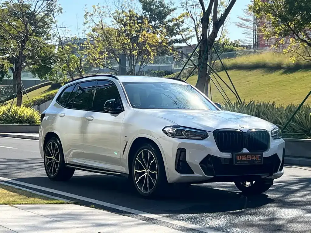 BMW X3 2022 из CN, фото 7