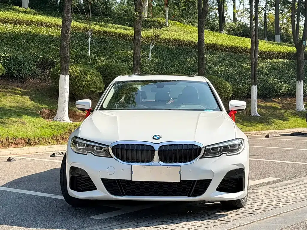 BMW 3 Series 2022 из CN, фото 10