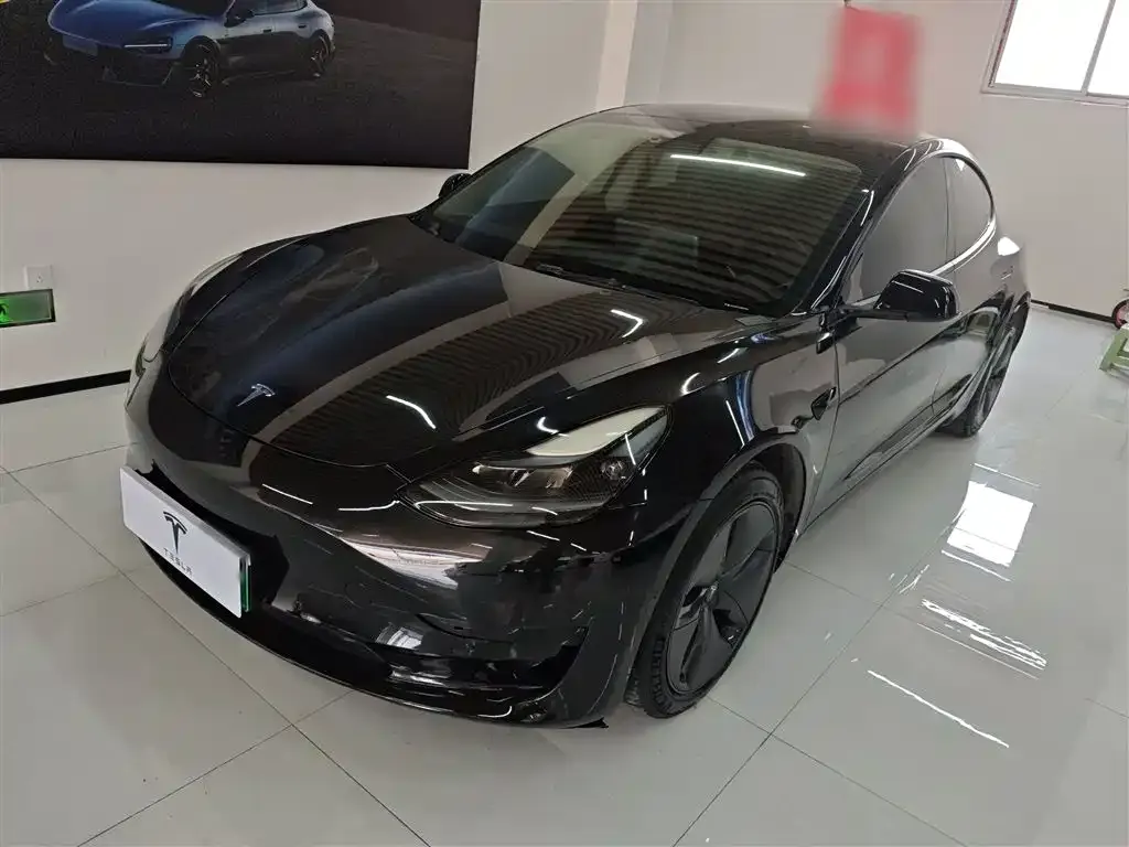 Tesla Model 3 2021 из CN, фото 1