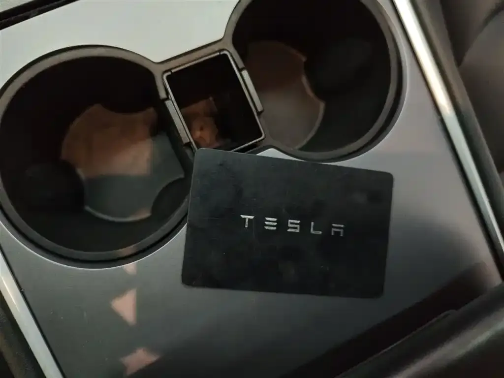 Tesla Model 3 2021 из CN, фото 9