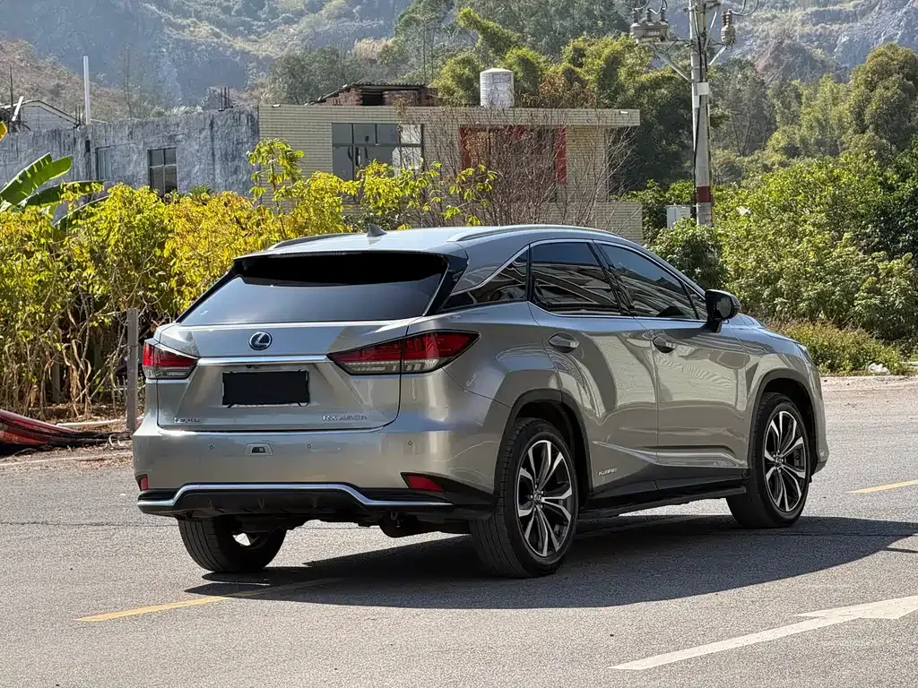 Lexus RX — фото 8