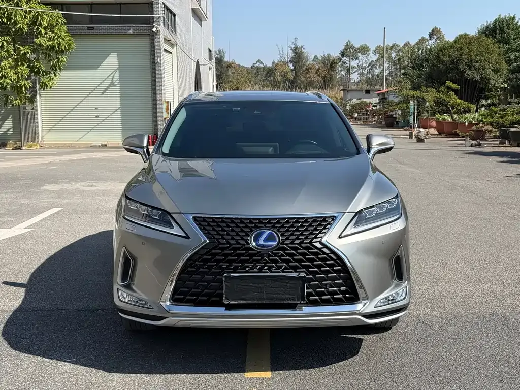 Lexus RX — фото 9