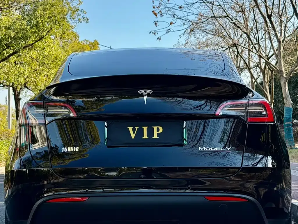 Tesla Model Y — фото 9