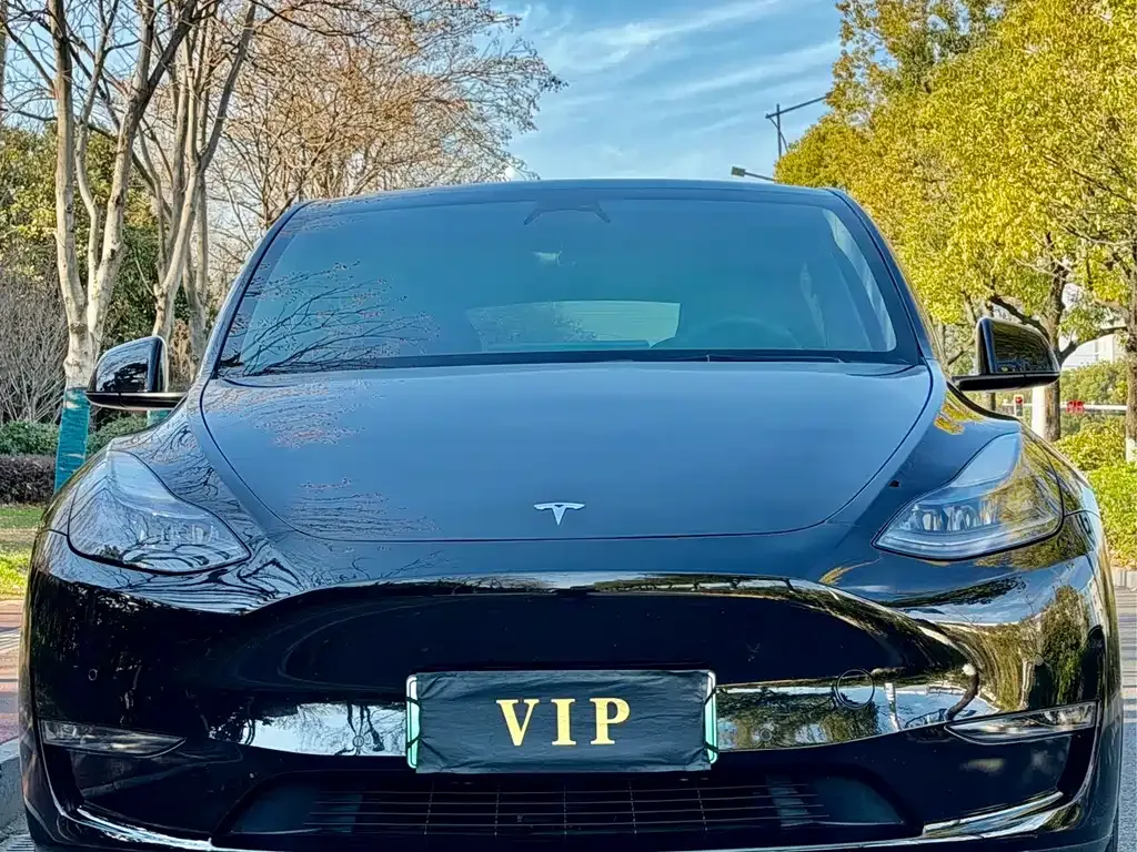 Tesla Model Y — фото 10