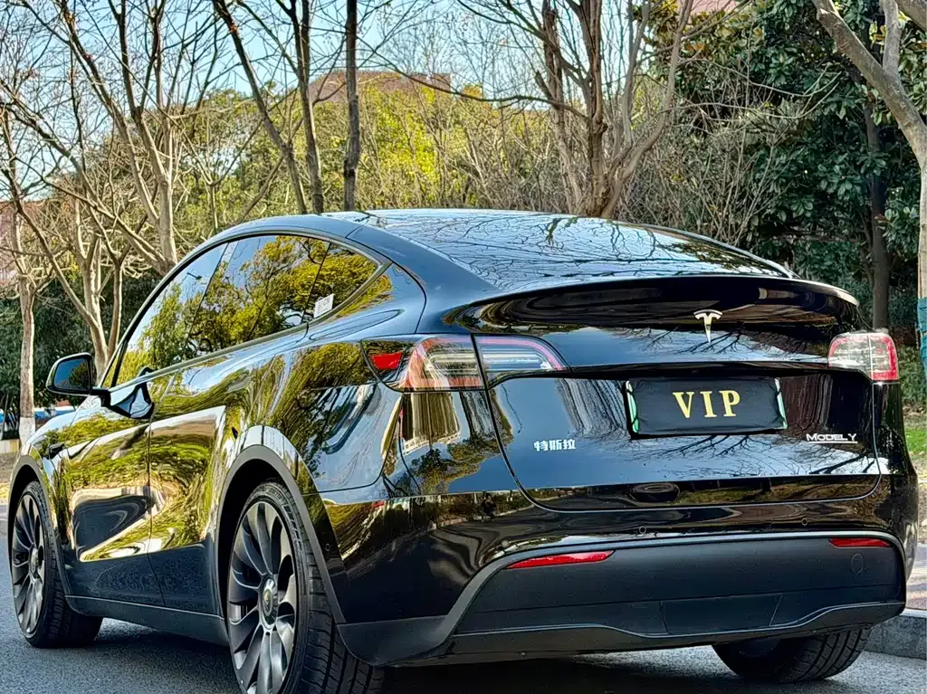 Tesla Model Y — фото 6