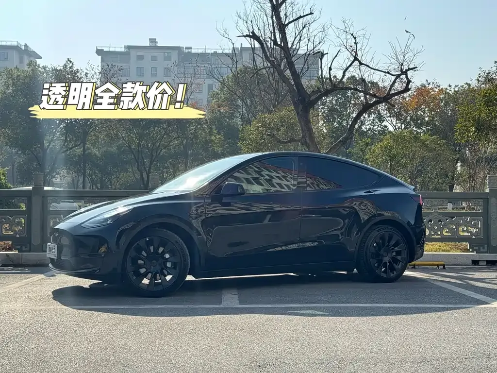 Tesla Model Y 2021 из CN, фото 1
