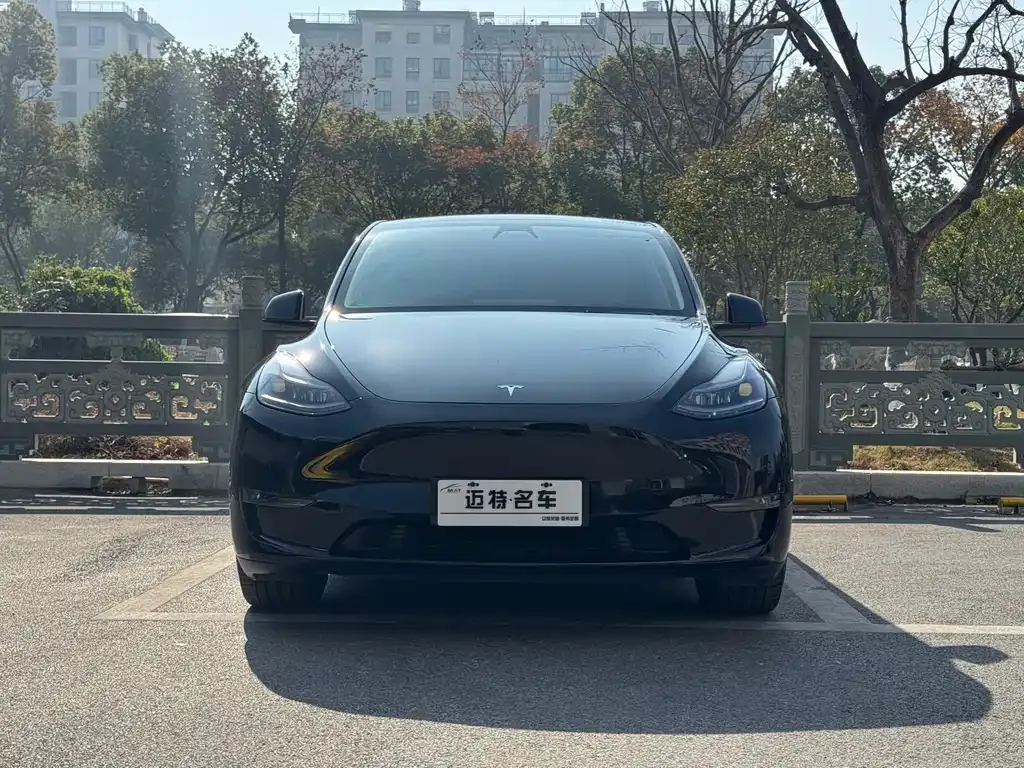 Tesla Model Y 2021 из CN, фото 2