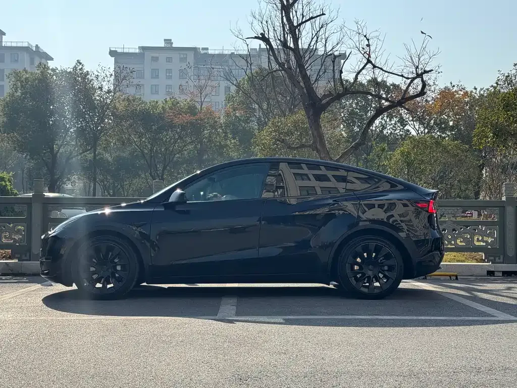 Tesla Model Y 2021 из CN, фото 3
