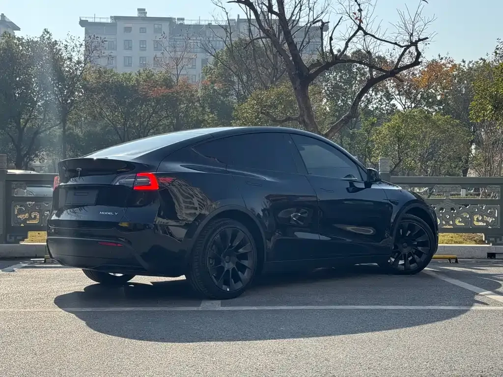 Tesla Model Y 2021 из CN, фото 4