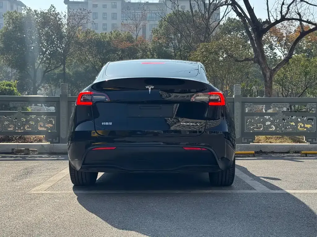 Tesla Model Y 2021 из CN, фото 5