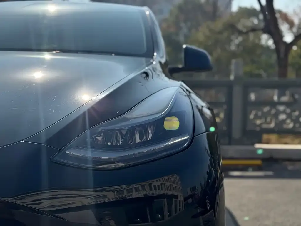 Tesla Model Y 2021 из CN, фото 6