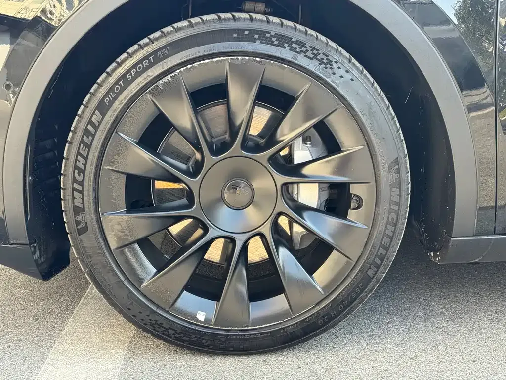 Tesla Model Y 2021 из CN, фото 7