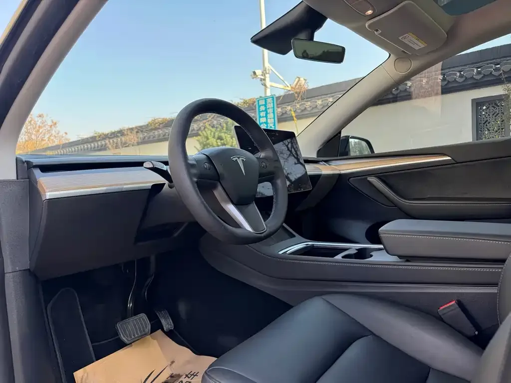 Tesla Model Y 2021 из CN, фото 8