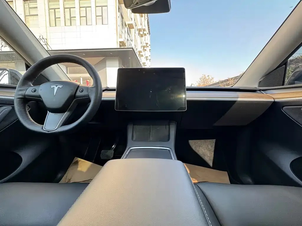 Tesla Model Y 2021 из CN, фото 9