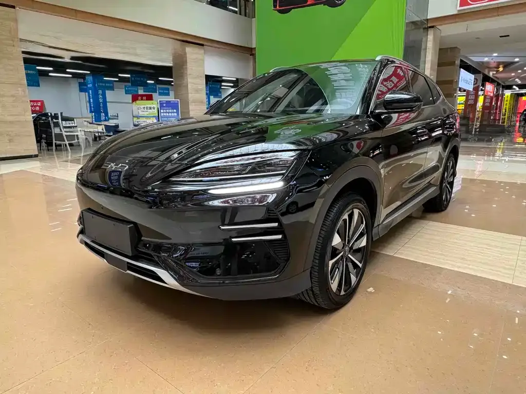 BYD PLUS New Energy 2024 из CN, фото 1