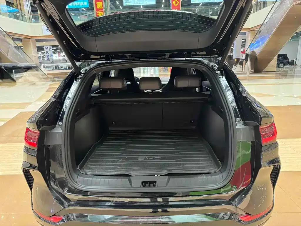 BYD PLUS New Energy 2024 из CN, фото 5